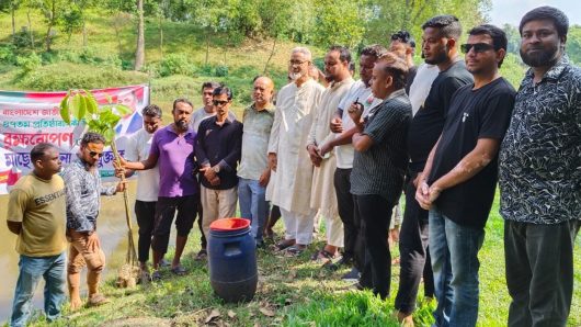 দক্ষিণ সুরমা উপজেলা যুবদলের উদ্যোগে বৃক্ষ রোপণ ও মাছের পোনা অবমুক্তকরণ কর্মসূচী